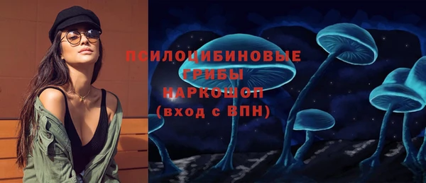 мескалин Надым